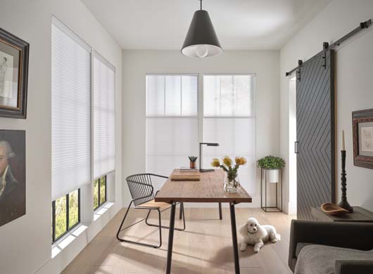 Duette® Cellular Shades